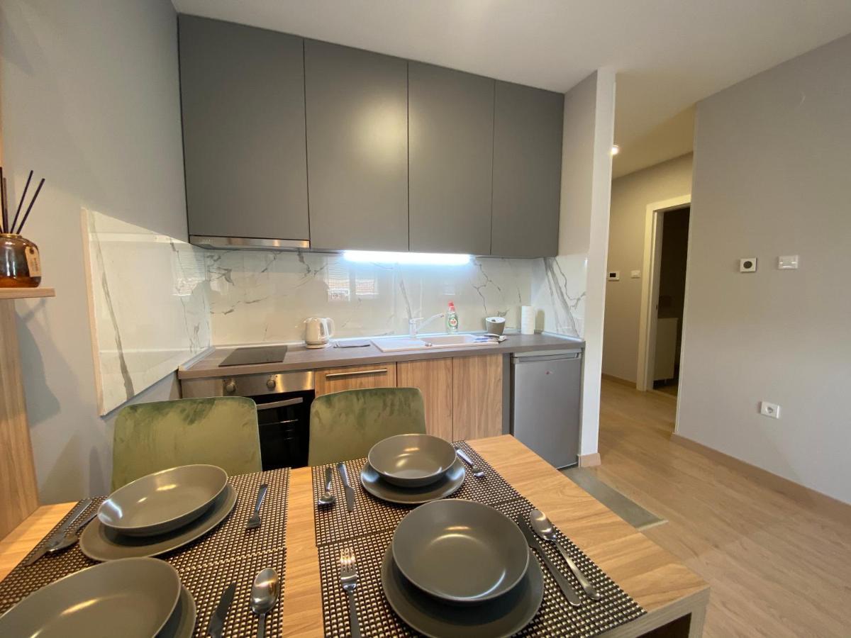 Premium Apartments Nowy Sad Zewnętrze zdjęcie